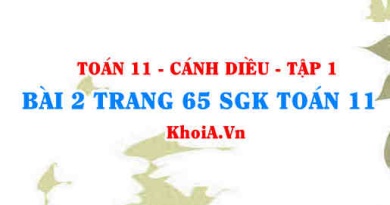 Bài 2 trang 65 SGK Toán 11 tập 1 Cánh Diều